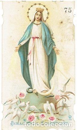 Postales: ESTAMPA INMACULADA CONCEPCI&Oacute;N - Foto 1