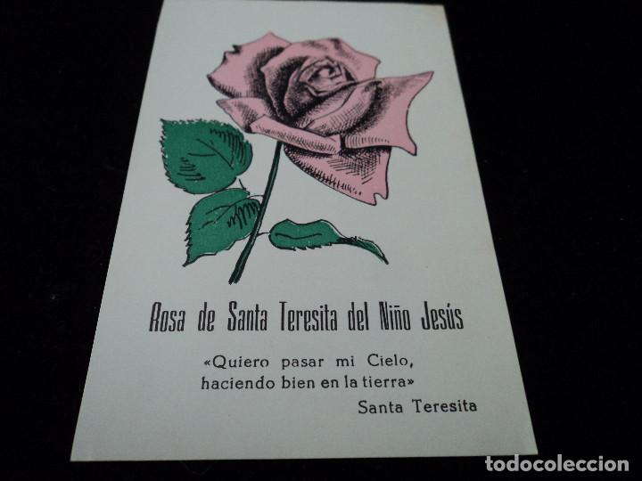 Postales: rosa de santa teresita del ni&ntilde;o jesus
