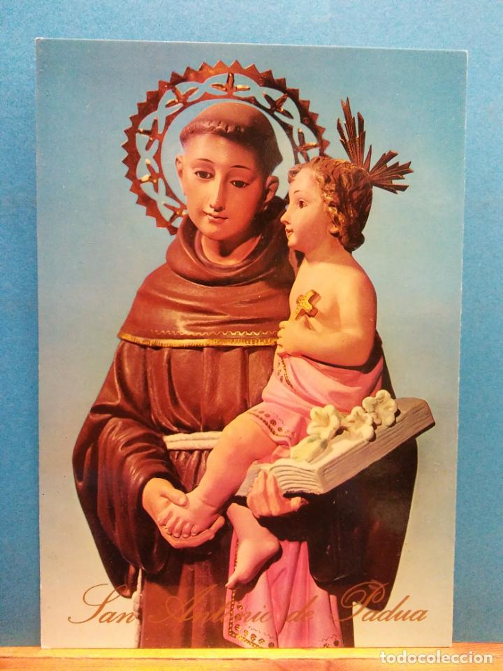 Postkarten: SAN ANTONIO DE PADUA. BONITA POSTAL. NUEVA