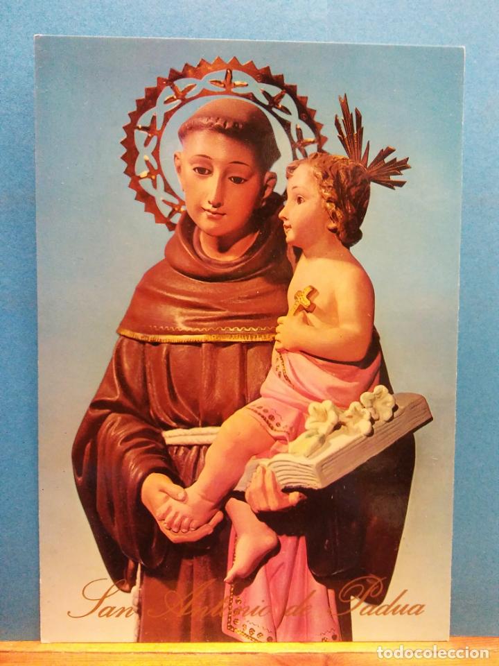 Postkarten: SAN ANTONIO DE PADUA. BONITA POSTAL. NUEVA