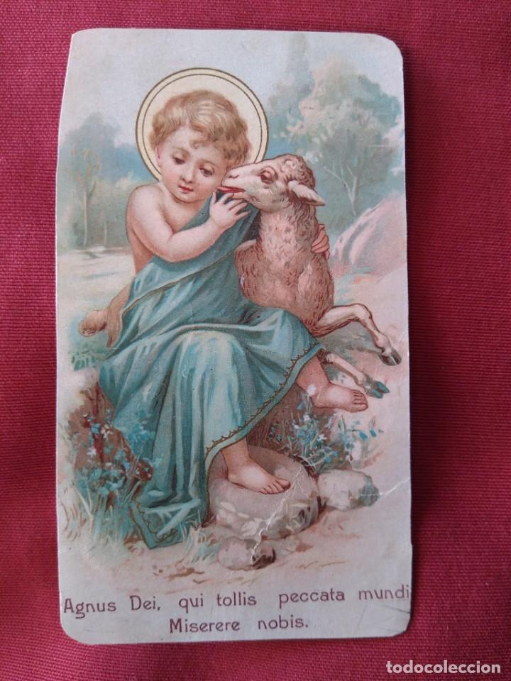 Postais: Preciosa Estampa Ni&ntilde;o Jes&uacute;s Cordero.