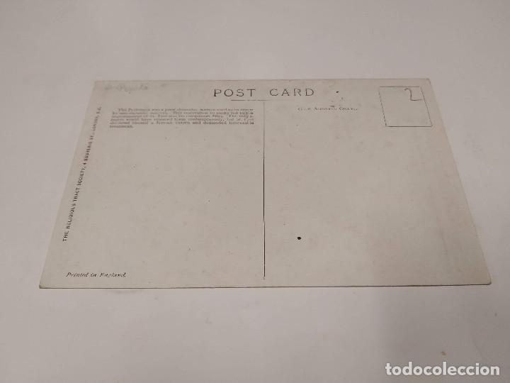 Postales: POSTAL ST. PAUL AND THE PHILIPPIAN PYTHONESS - Foto 2