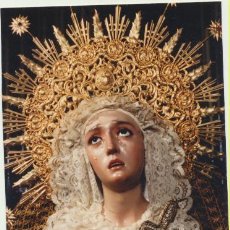 Cartoline: FOTOGRAFÍA (9X6) HERMANDAD DE JESÚS DESPOJADO. CAPILLA DE MOLVIEDRO. SEVILLA 1988. AÑO MARIANO. Lote 239444610