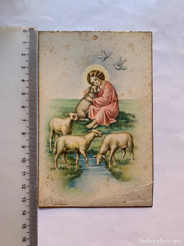 Postales: POSTAL. EL NI&Ntilde;O JES&Uacute;S DE BUEN PASTOR. D.