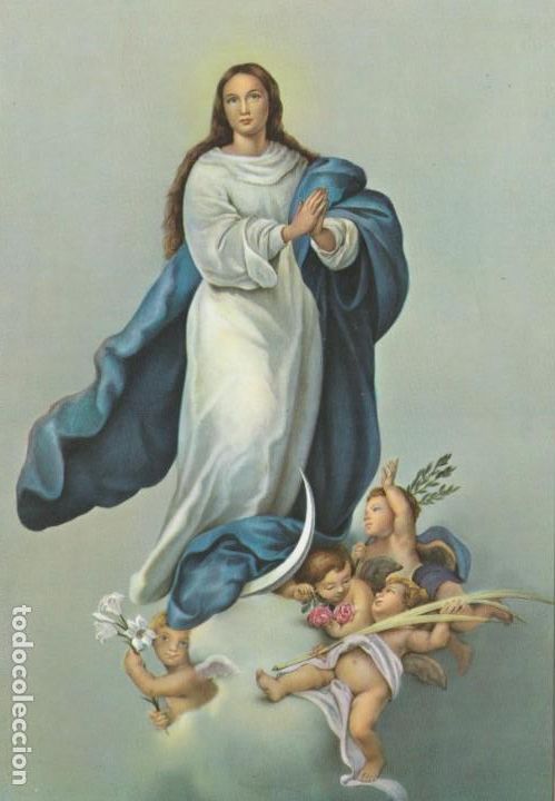 Postales: postal - virgen - inmaculada concepcion - n&ordm; 6346 / 31 - ed. e y z - a&ntilde;os1961- nueva