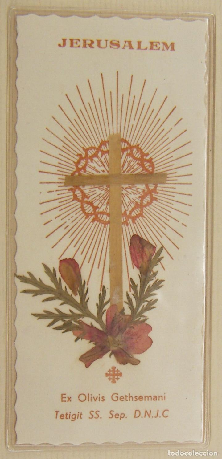 Postales: ESTAMPA JERUSALEM EX OLIVIS GETHSEMANI