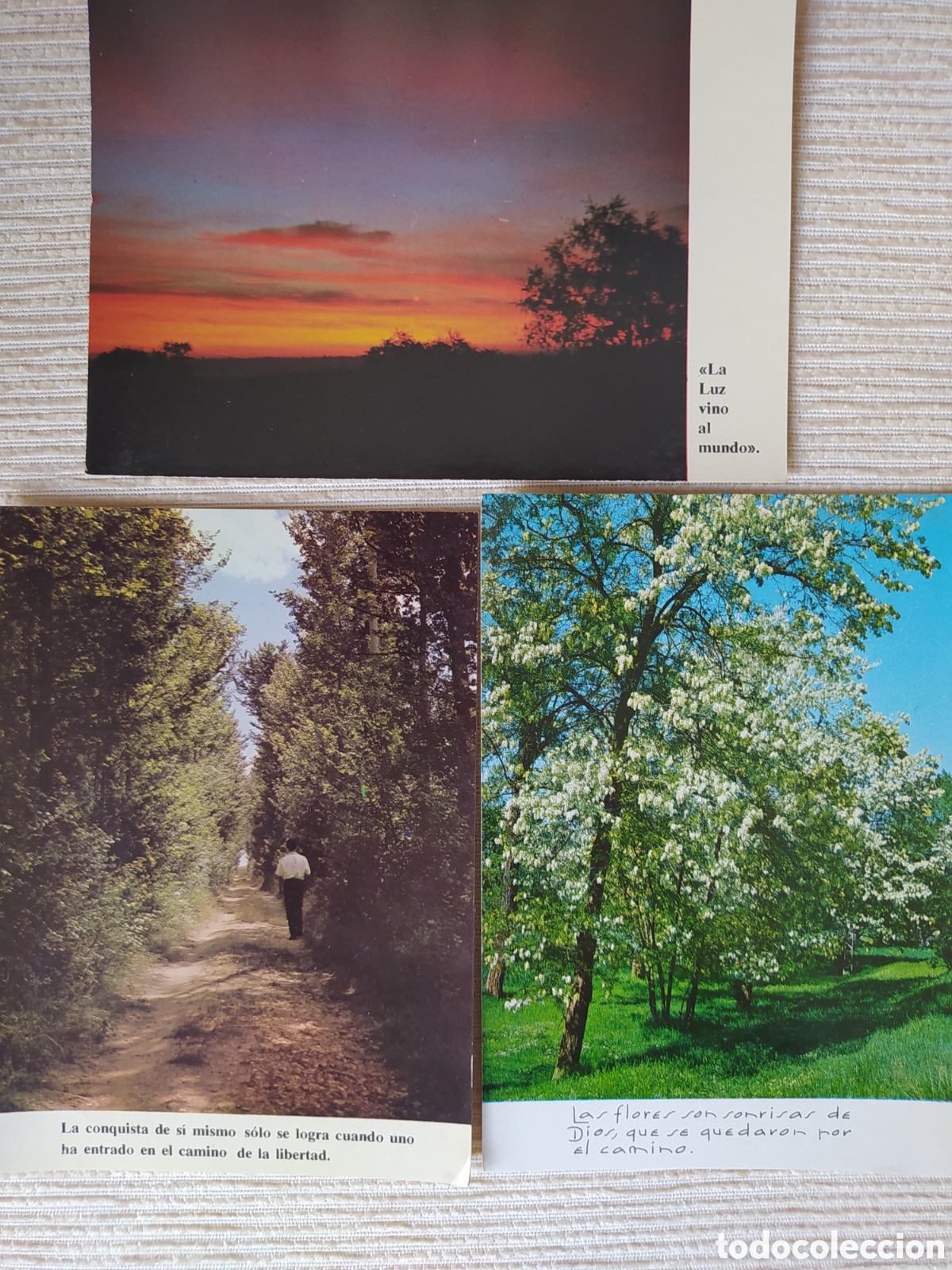 Postales: 4 POSTALES CON SALMOS,DE EDICIONES PAULINAS - Foto 1