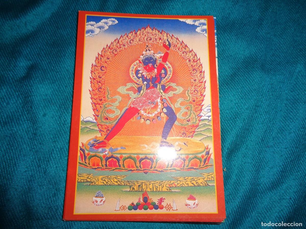 Cartes Postales: POSTAL BUDISTA TIBETANA. TWO ARMED CHAKRASAMBHARA. SURENDRA&acute;S TIBETAN THANKA TREASURE