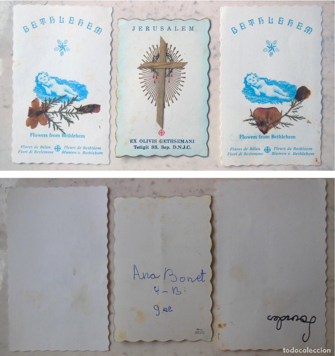 Postales: FLORES DE BELEN, EX OLIVIS GETHSEMANI
