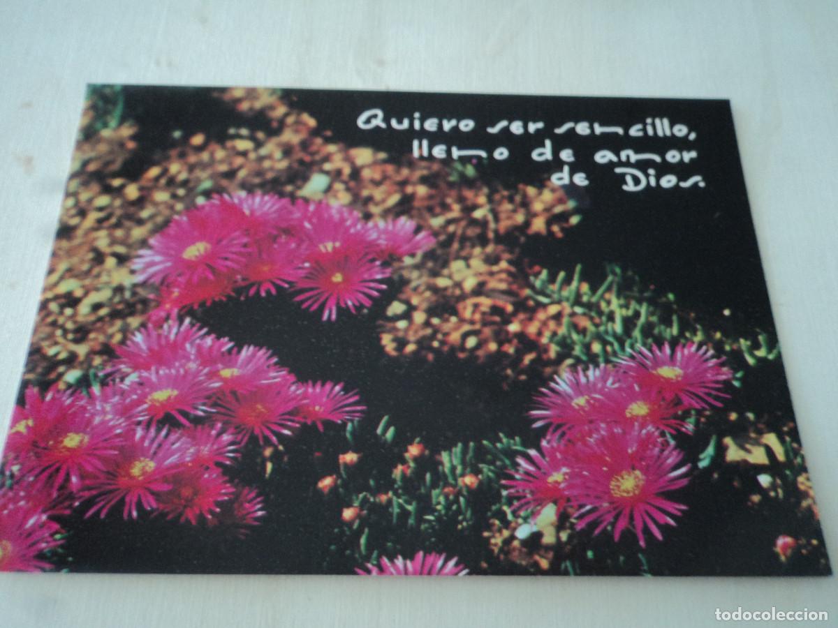 Postcards: QUIERO SER SENCILLO LLENO DE............. ED. ATA 673