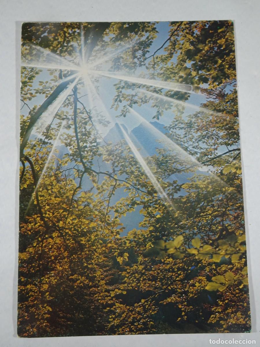 Cartoline: ANTIGUA TARJETA, FELICITACI&Oacute;N NAVIDAD , VER FOTOS