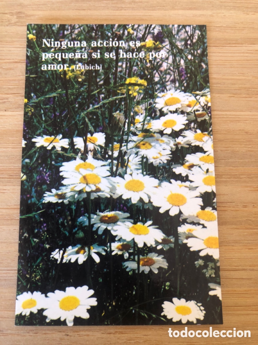 Postales: Estampa flores AFA 160. Frases Lubich. ASM