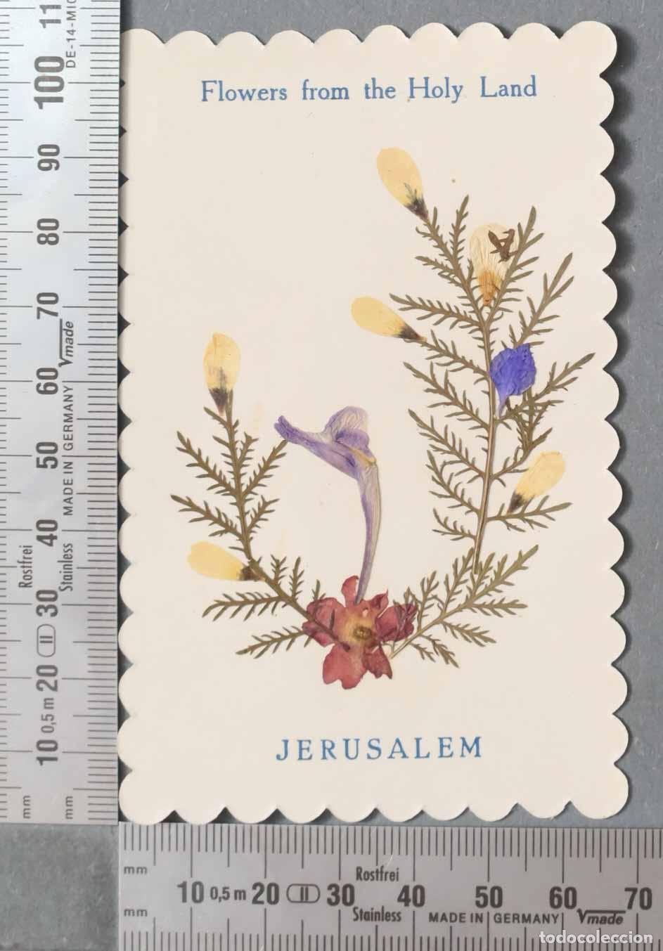 Postkarten: ESTAMPA. RELIQUIA Flowers from the Holy Land