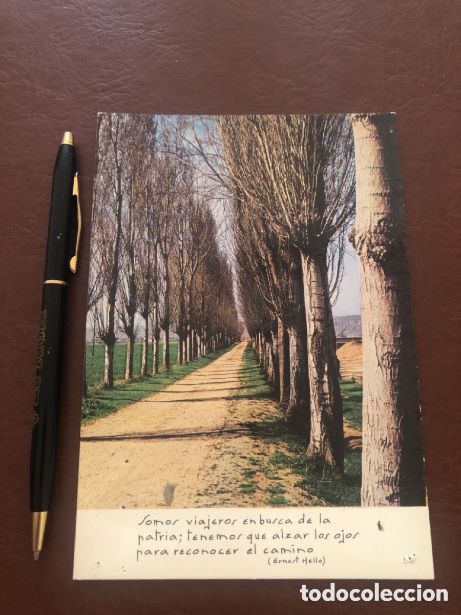 Postais: Postal Ediciones AFA. 520. Frase Ernest Hello. Sin circular. ASM.