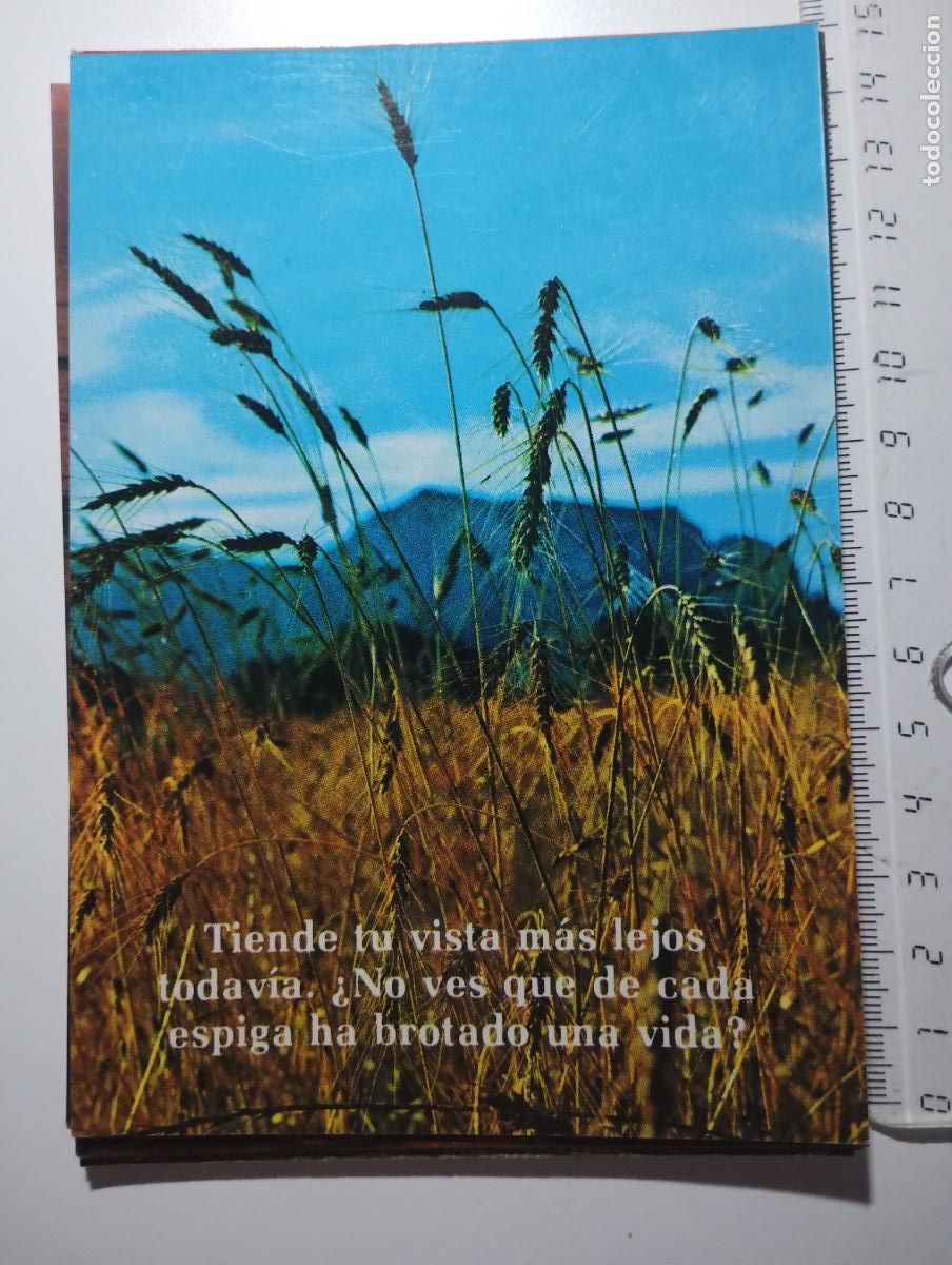 Postkarten: Estampa AFA 531 con frase motivadora