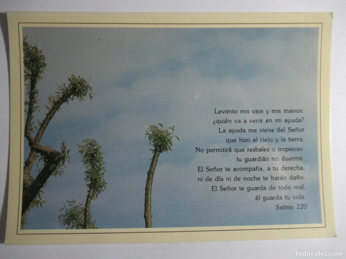 Postales: Postal Ediciones Paulinas - Foto 1
