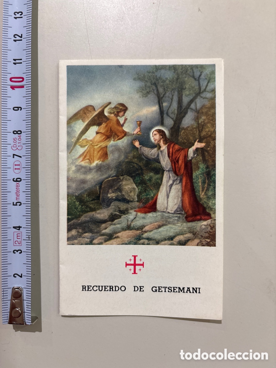 Postcards: OBRA P&Iacute;A DE TIERRA SANTA. RECUERDO DE GETSEMANI. HOJA DEL HUERTO. ORACI&Oacute;N.