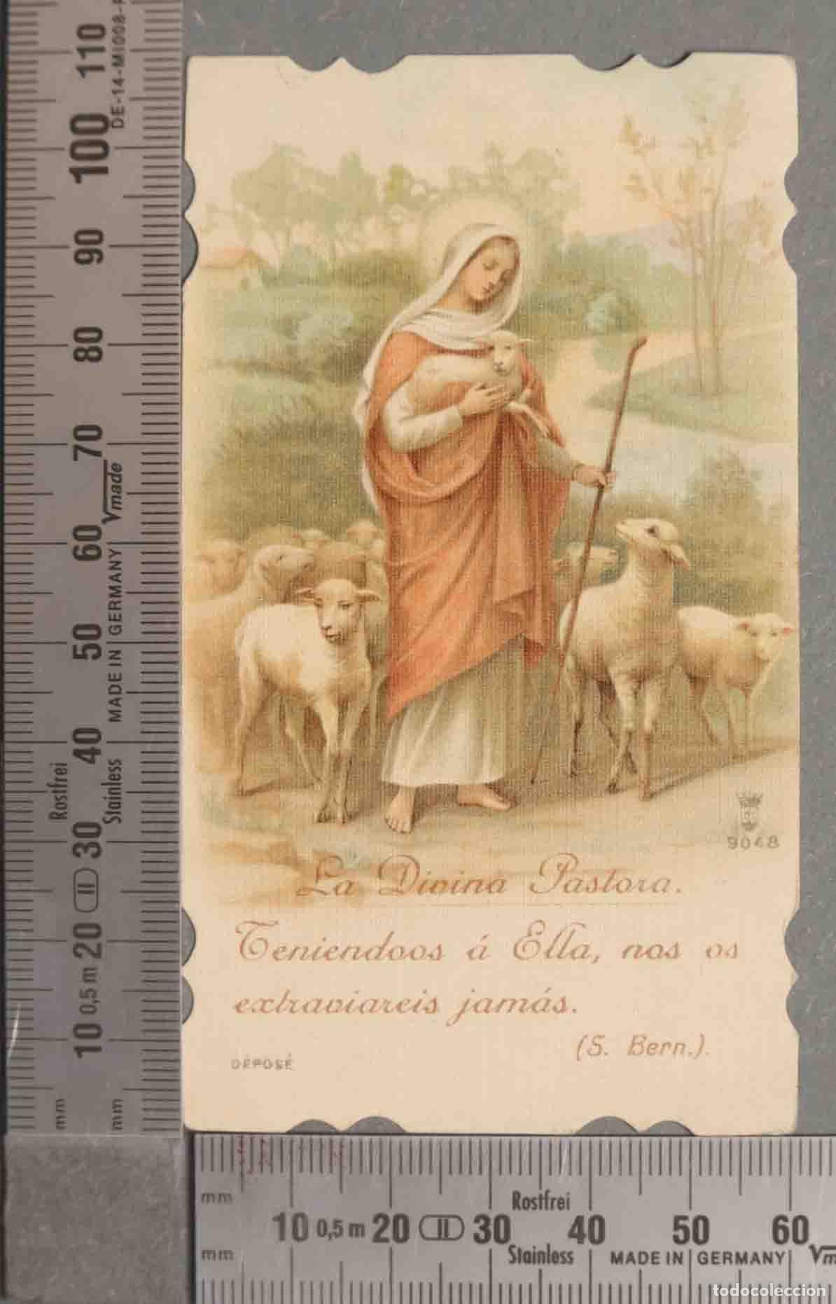 Cartes Postales: ESTAMPA. LA DIVINA PASTORA.