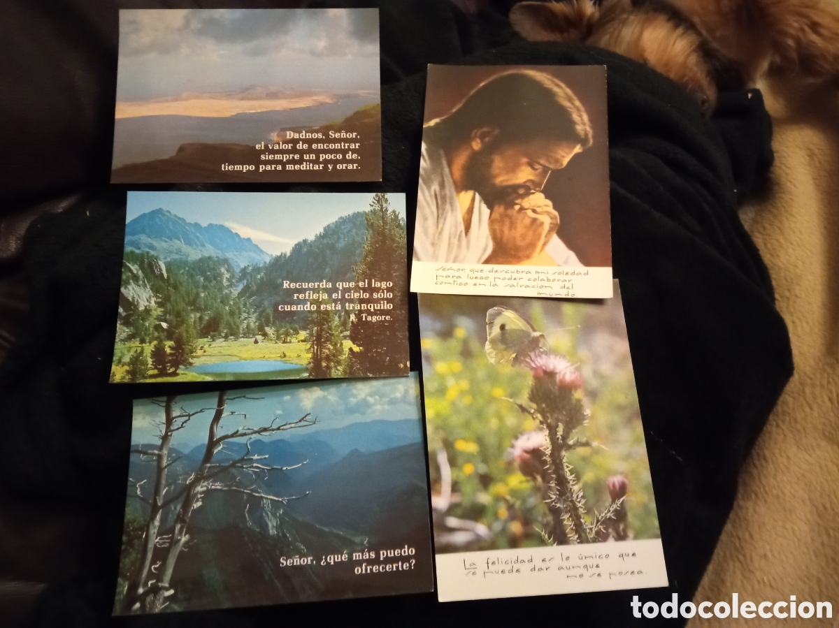 Postcards: Cinco antiguas postales con meditaciones religiosas