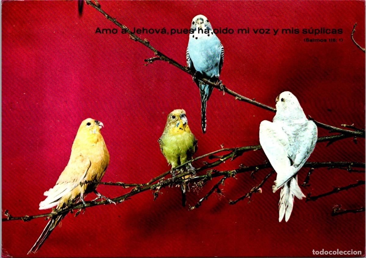 Cartoline: Amo a Jehov&aacute;, pues a o&iacute;do mi voz y mis s&uacute;plicas - Salmos 116: 1 - Ed. FIR Serie F. 125 - 152x107mm