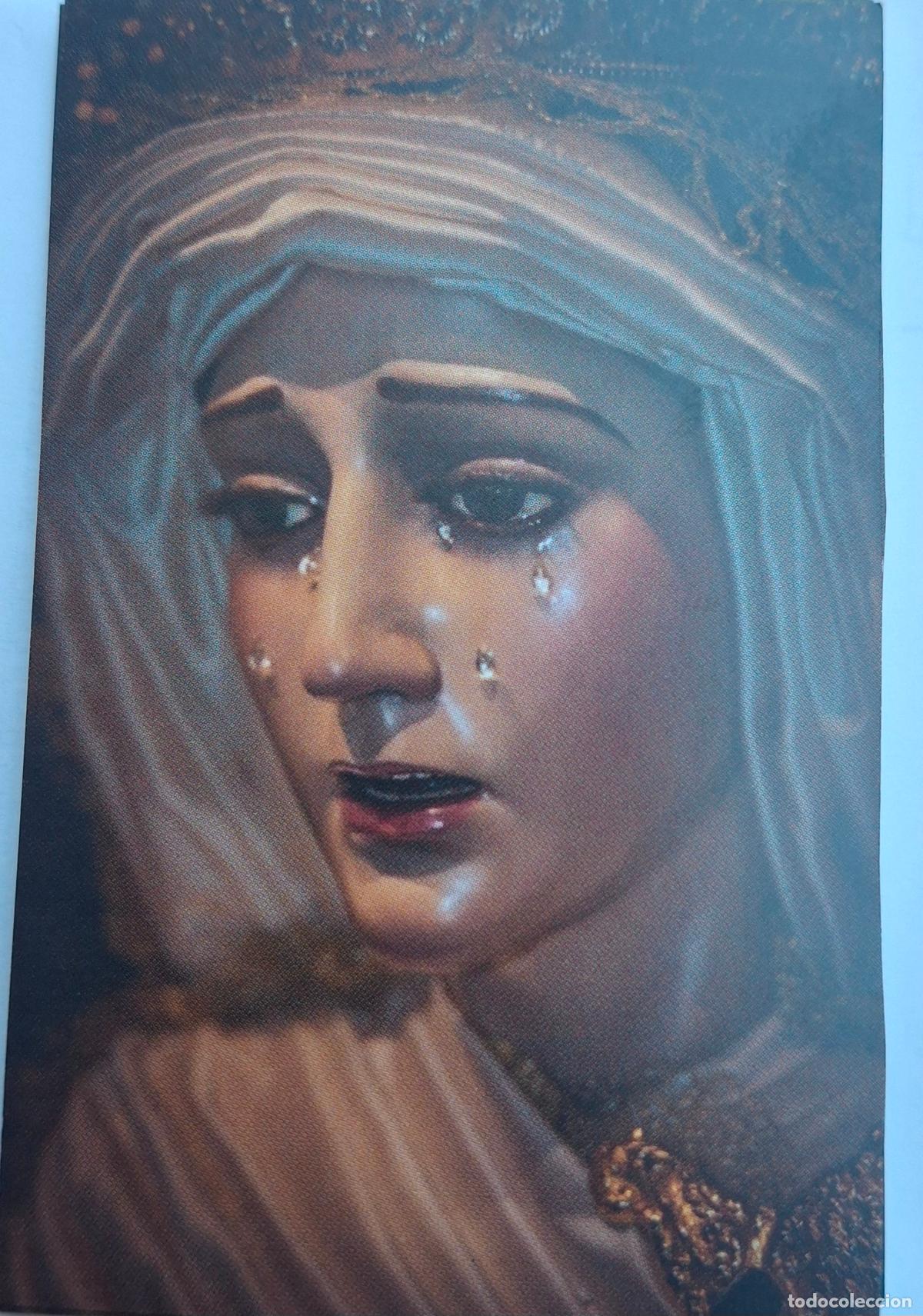 Postales: V.Mayor Dolor.Marbella - Foto 1