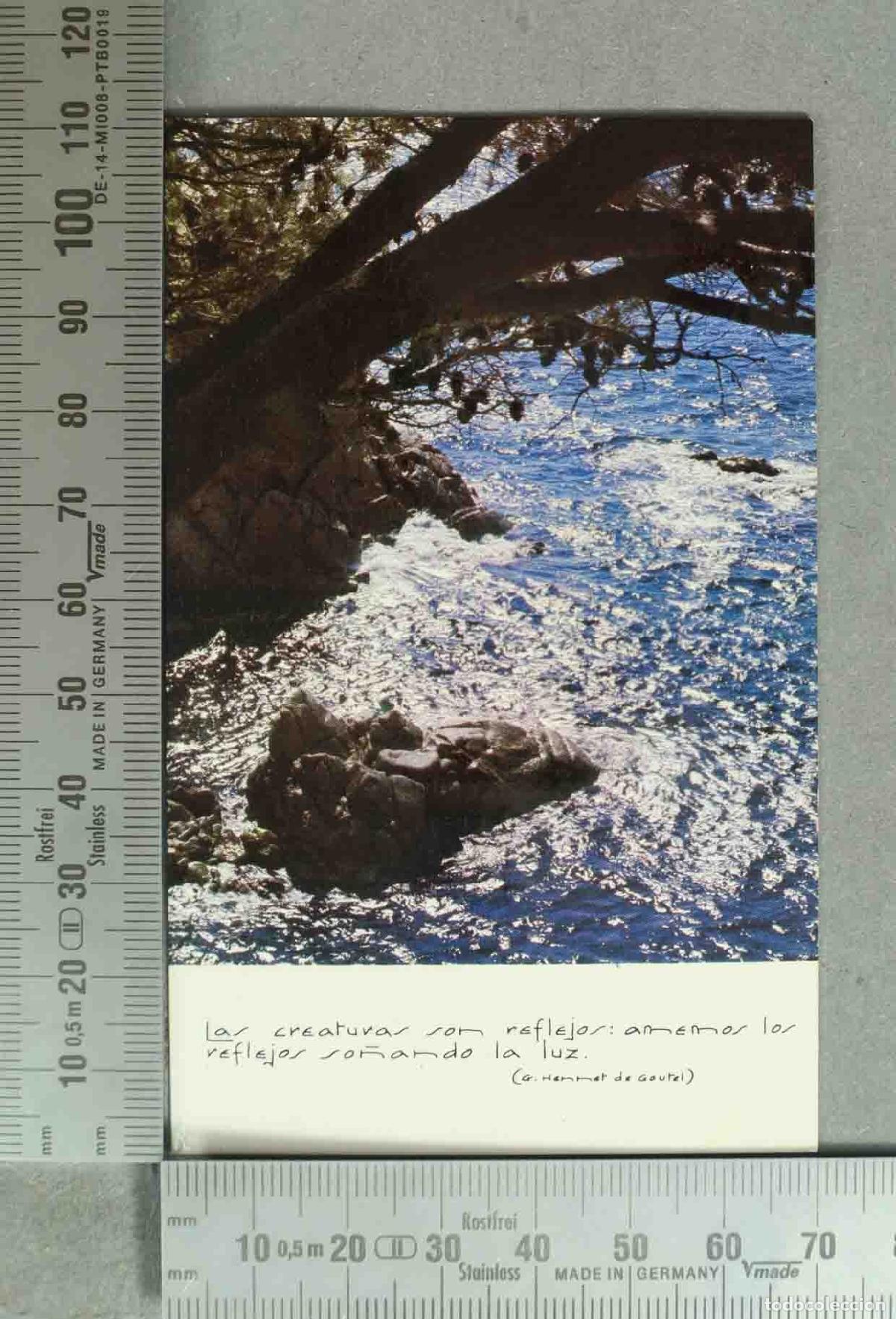 Postales: ESQUELA. Las criaturas son reflejos: amemos los reflejos so&ntilde;ando la luz - E. Hennet de Goutel