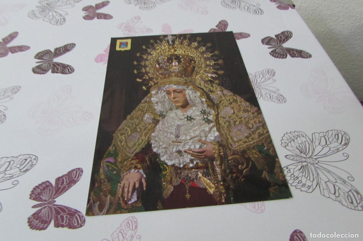 Postales: POSTAL DE SEVILLA. LA MACARENA. 91 ESCUDO ORO
