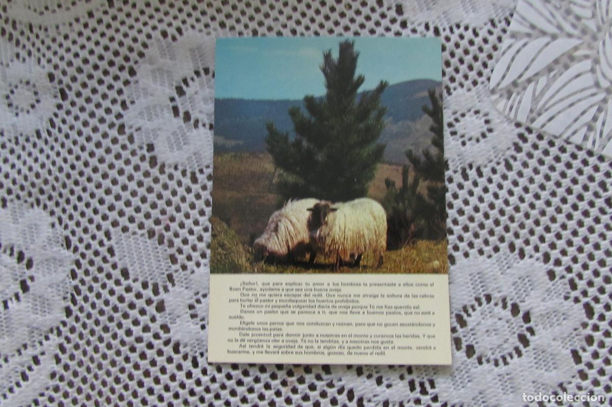 Postales: POSTAL ORACION AFA 557