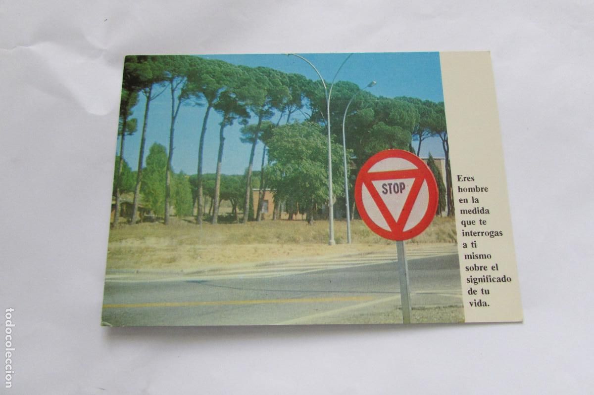Postales: 603 PAULINAS ERES HOMBRE EN LA MEDIDA QUE TE INTERROGAS..