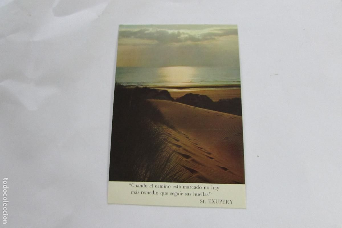 Postales: CUANDO EL CAMINO ESTA MARCADO.. - Foto 1