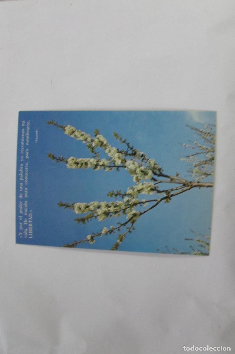 Postales: 647 EDICIONES PAULINAS - Foto 1