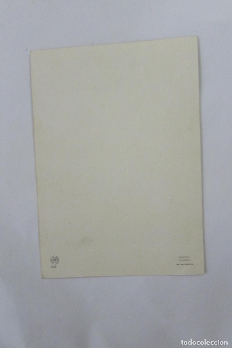 Postales: TARJETA AFA 543 CAMELLOS - Foto 2