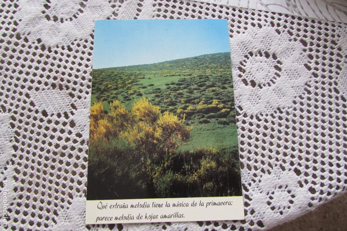 Postales: 647 SJ 1973 PRINTED IN SPAIN