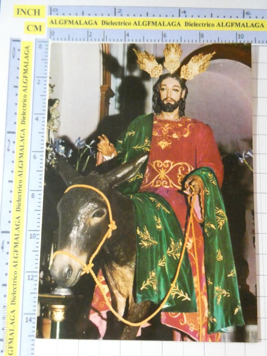 Postales: TARJETA POSTAL RELIGIOSA SEMANA SANTA. M&Aacute;LAGA POLLINICA JES&Uacute;S A SU ENTRADA EN JERUSALEN 2223