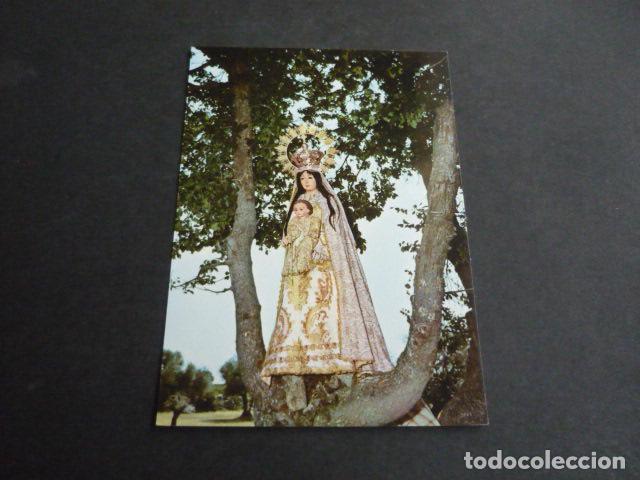 Cartoline: CENICIENTOS MADRID NUESTRA SE&Ntilde;ORA DEL ROBLE POSTAL