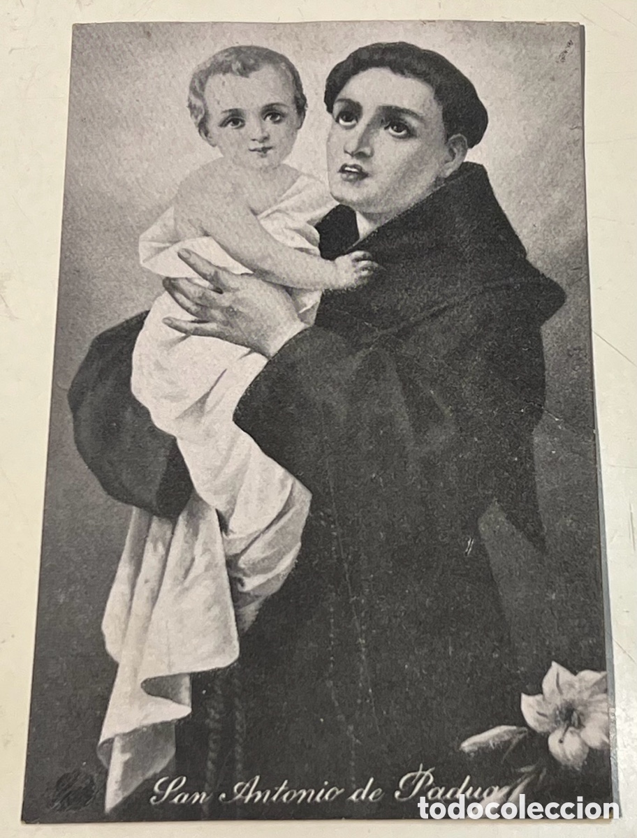Postales: Estampa Religiosa. San Antonio de Padua. Mid-Century.
