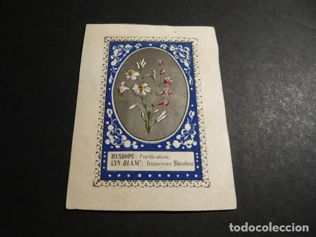 Postcards: FLORES ANTIGUA ESTAMPA