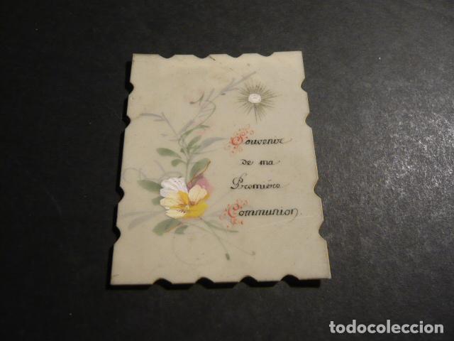 Cartoline: FLORES ANTIGUA ESTAMPA EN CELULOIDE