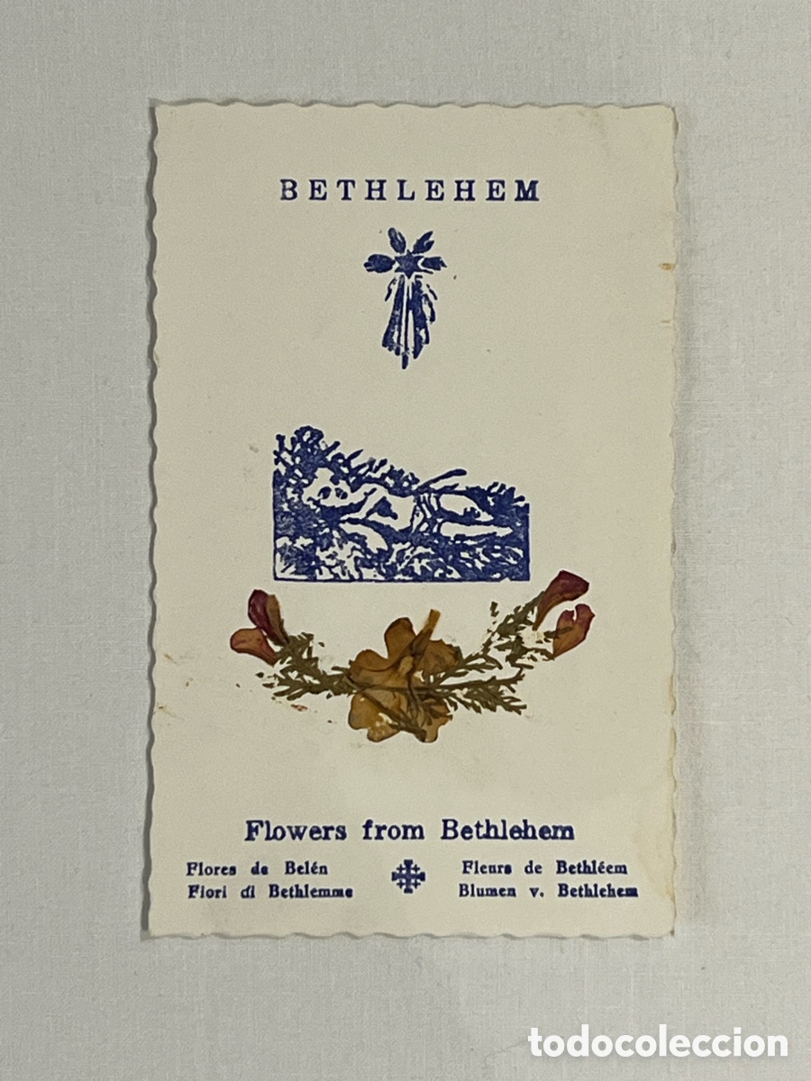 Postales: BELEN. Estampa Reliquia. Flores de Bel&eacute;n. Recuerdo de Tierra Santa (h.1940?)