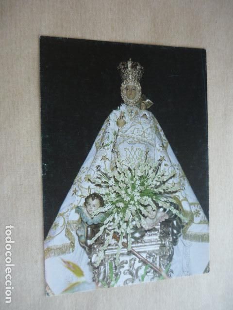 Postales: MOLINA DE SEGURA MURCIA NUESTRA SE&Ntilde;ORA DE LA CONSOLACION POSTAL