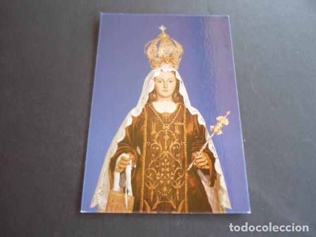 Postales: MULA MURCIA NUESTRA SE&Ntilde;ORA DEL CARMEN POSTAL