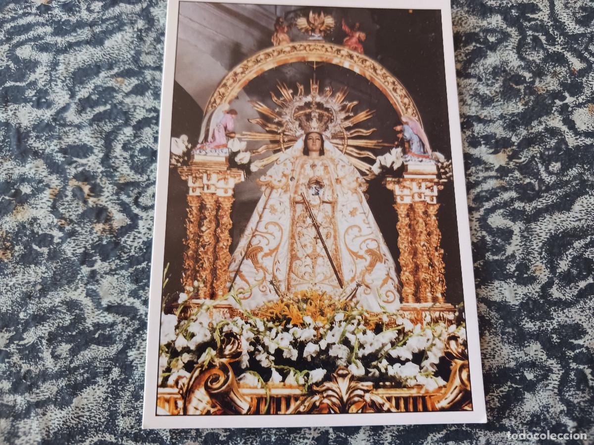 Postales: Sant&iacute;sima Virgen del Rosario. Patrona y Alcaldesa Perpetua de ALC&Aacute;ZAR DE SAN JUAN