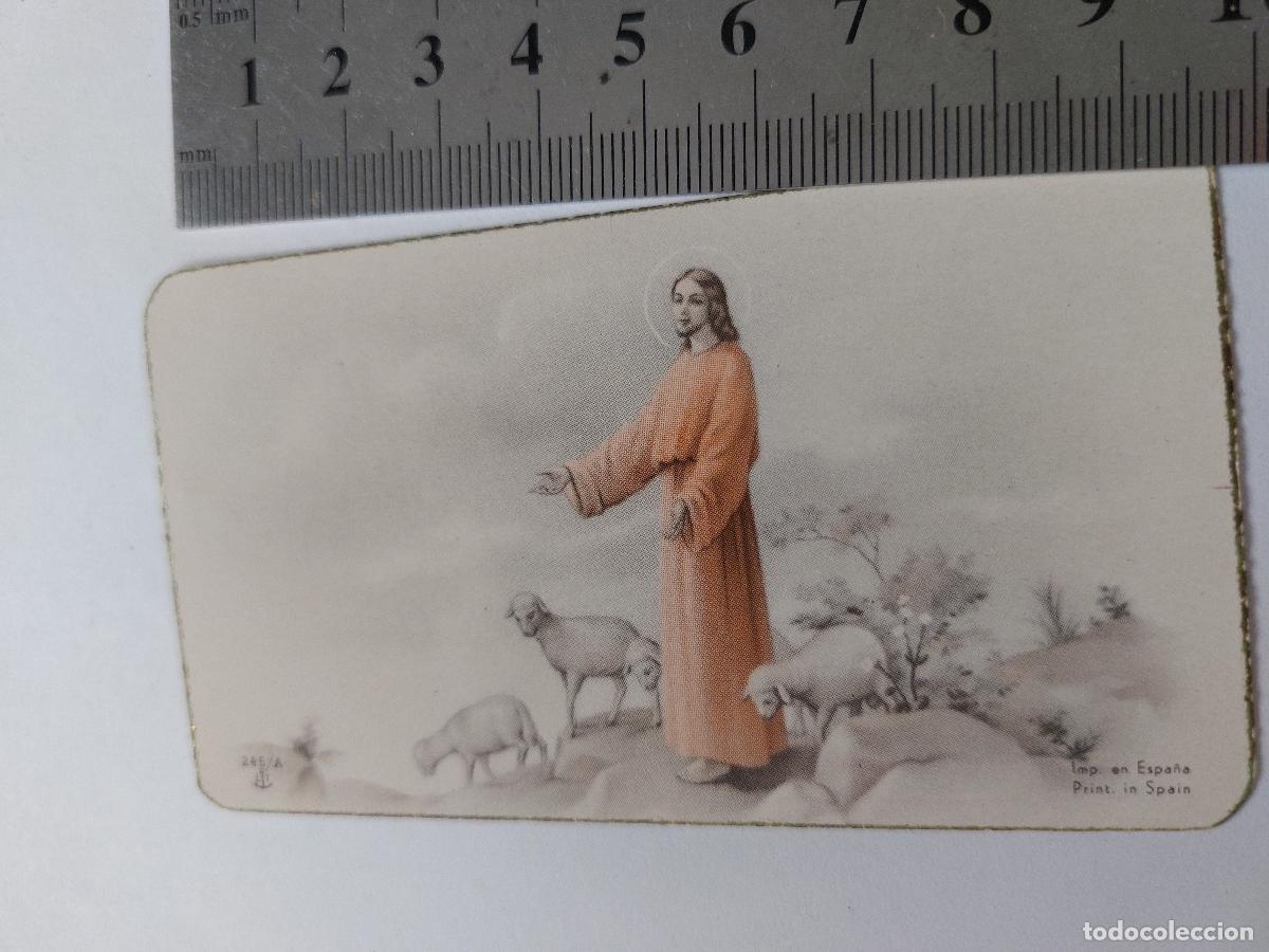Postales: Estampa de Jesucristo el Buen Pastor con ovejas