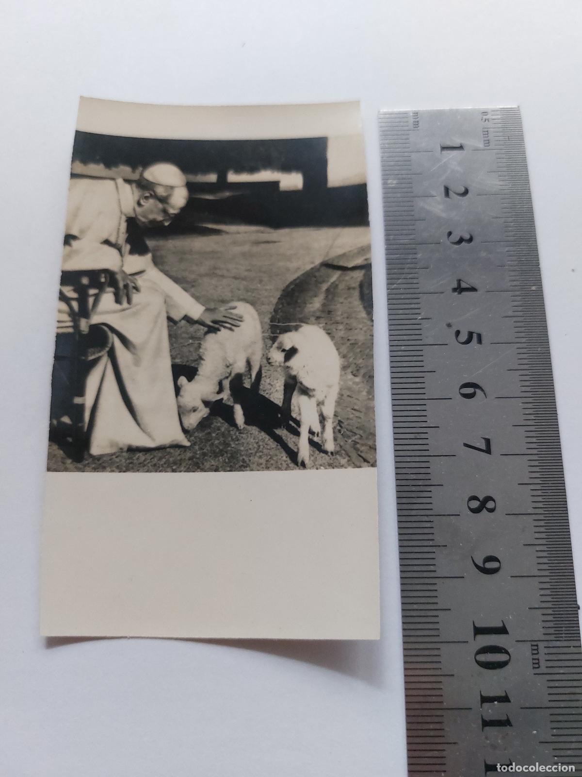 Postales: Estampa con imagen del Papa Juan XXIII acariciando ovejas