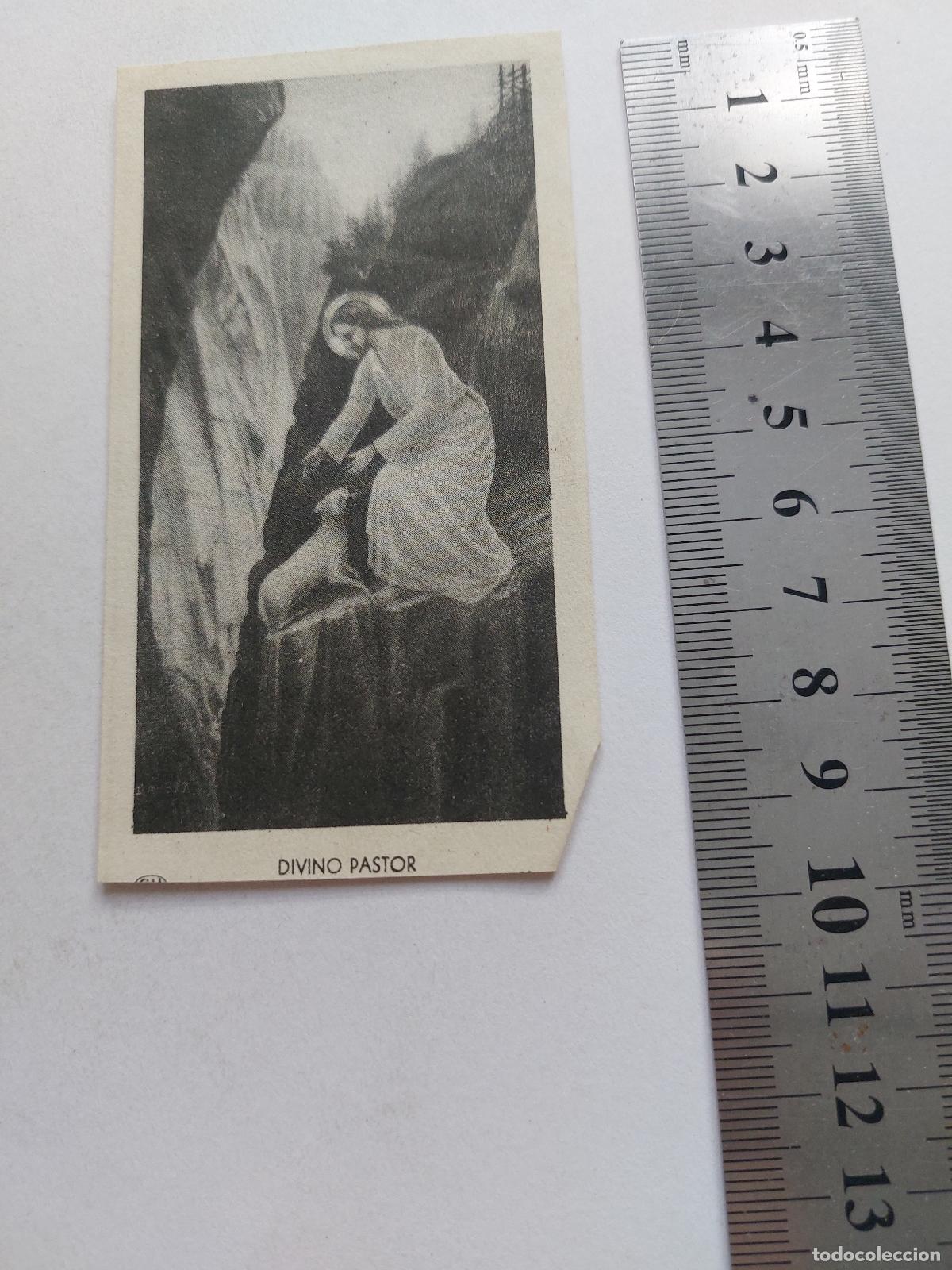 Postales: Estampa religiosa del Divino Pastor con Jes&uacute;s y oveja