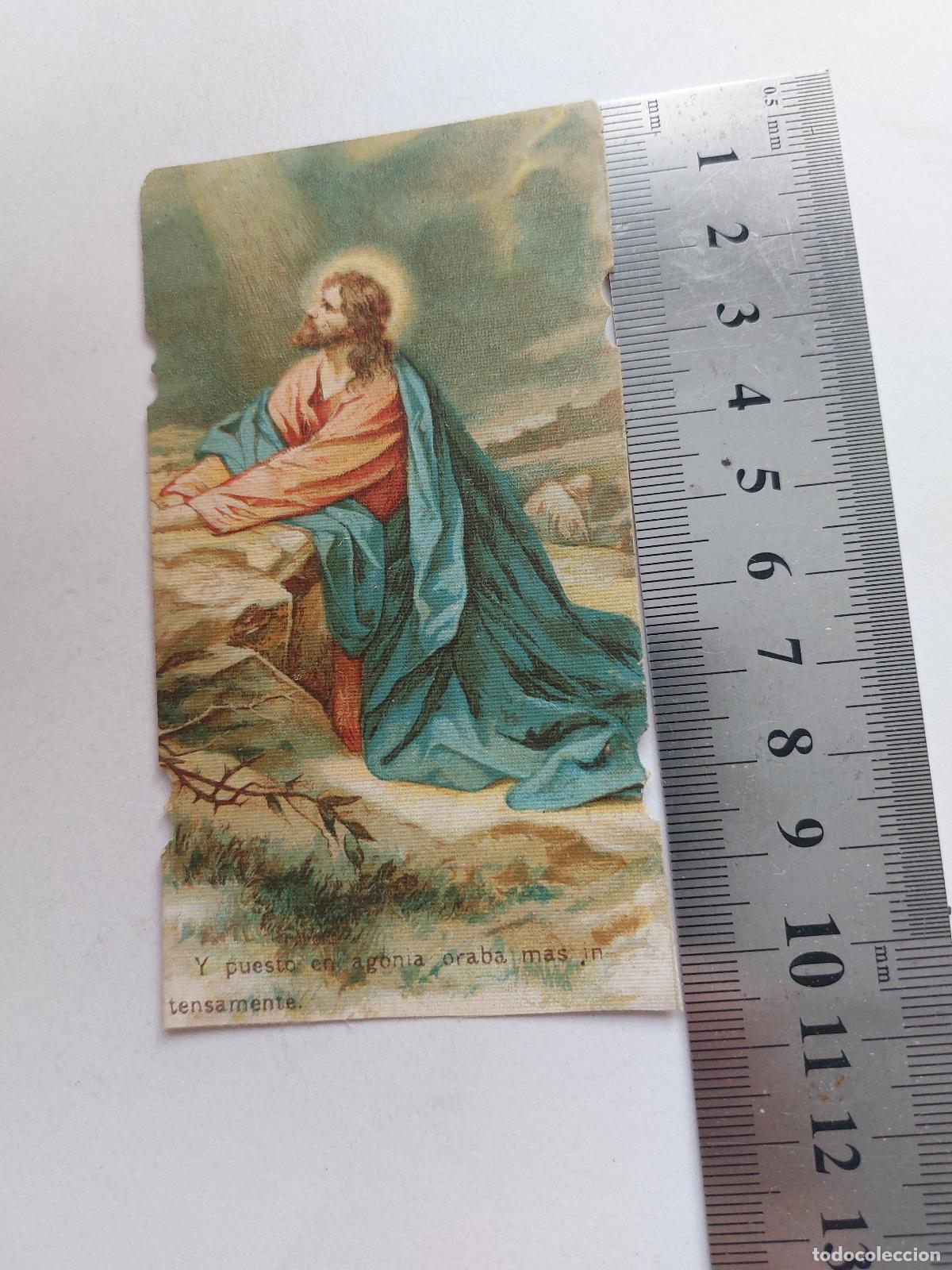 Postales: Estampa con imagen de Jesucristo orando