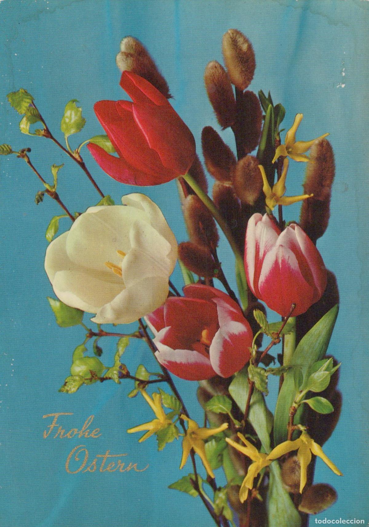 Postales: Frohe Ostern Tulips Pussy Willow and Forsythia Easter Card *YAS645