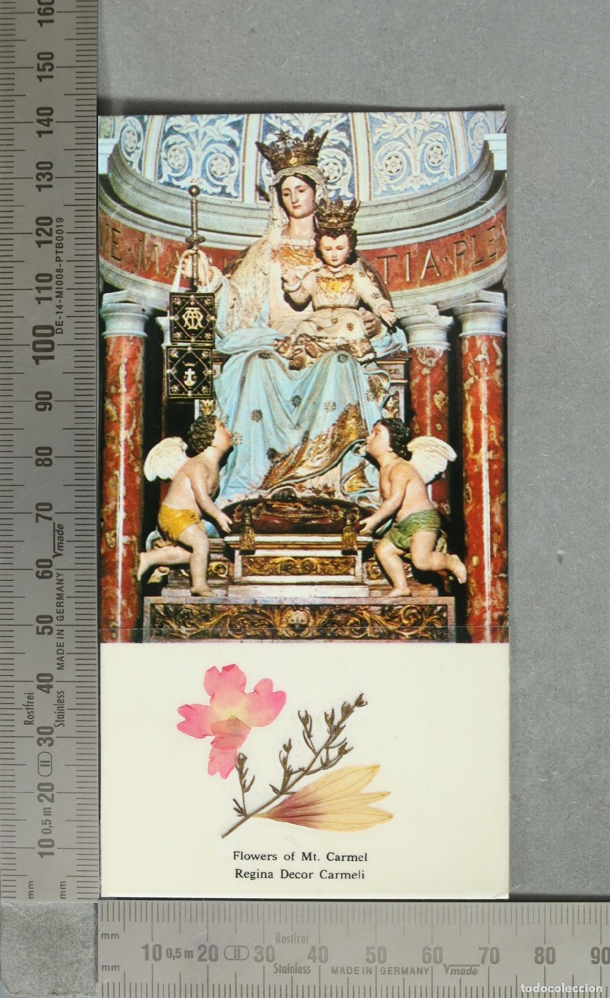 Postales: POSTAL. Flowers of Mt. Carmel - Regina Decor Carmeli