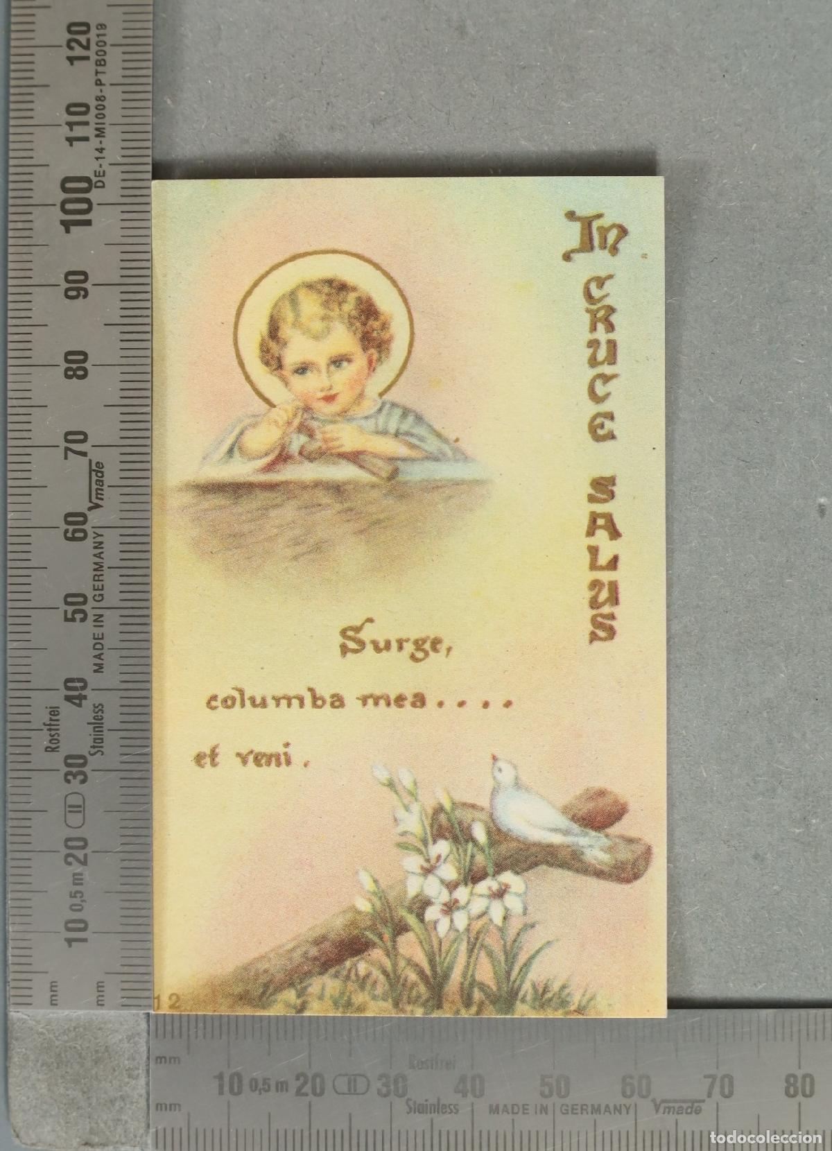 Cartes Postales: ESTAMPA. In Cruce Salus - Surge, columba mea.... et veni.