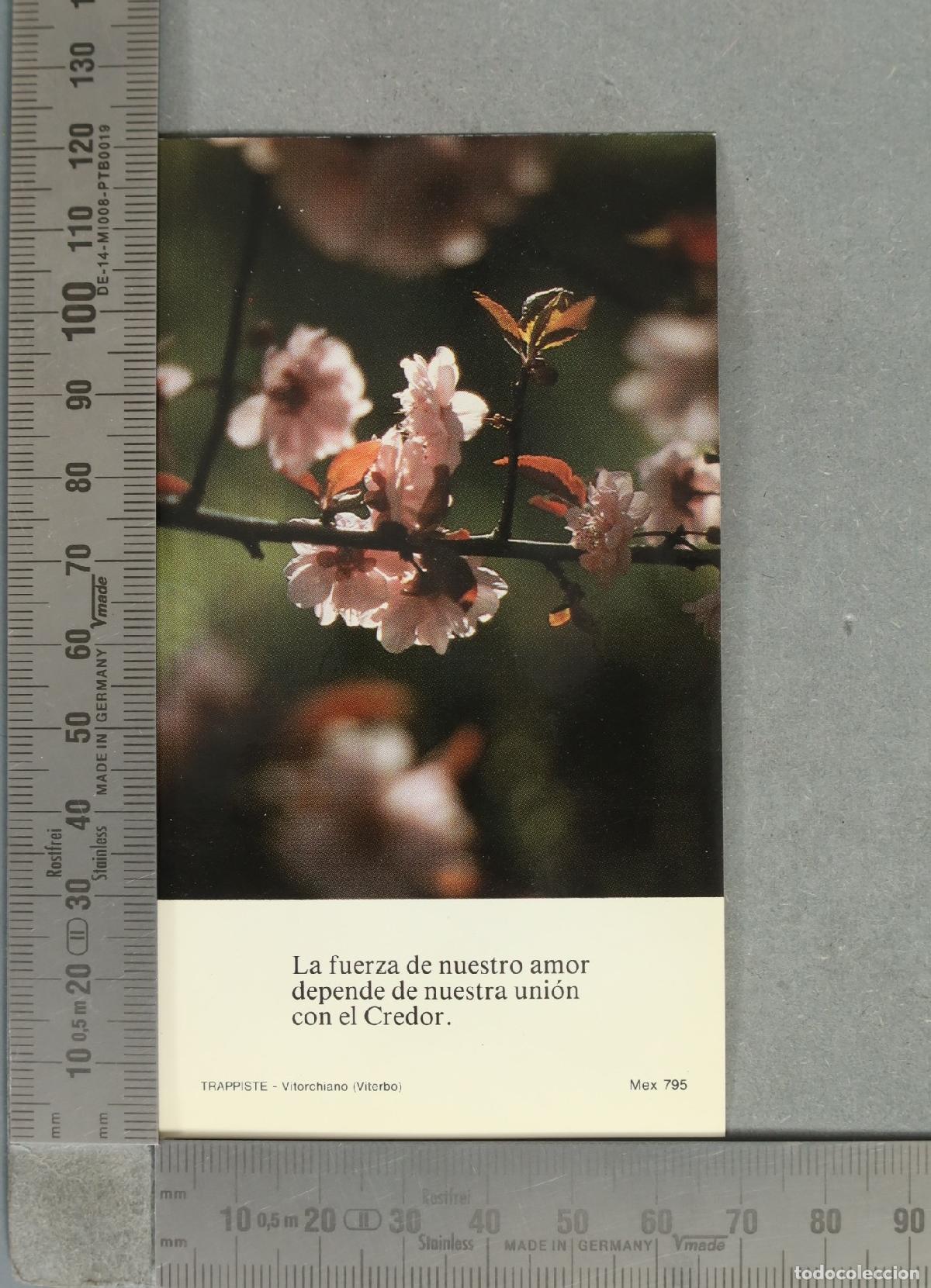 Postales: ESTAMPA. La fuerza de nuestro amor depende de nuestra uni&oacute;n con el Credor - Trappiste Vitorchiano